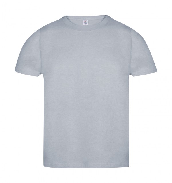 Keya Organic T-shirt  gri
