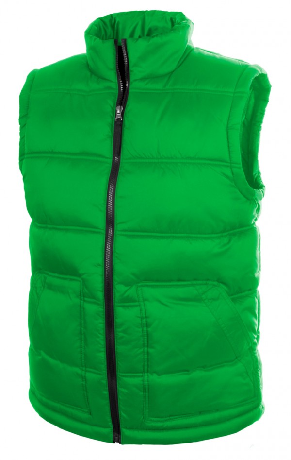 Tansy vestă L verde